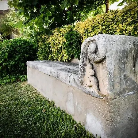 Aranceto Syracuse