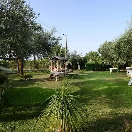 Aranceto Syracuse