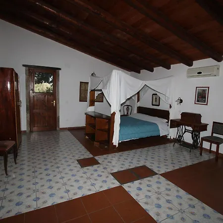Aranceto