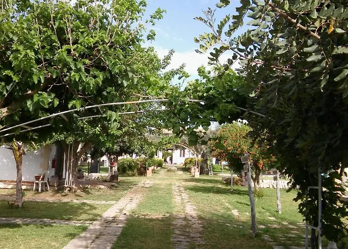 Aranceto Bed & Breakfast Syracuse